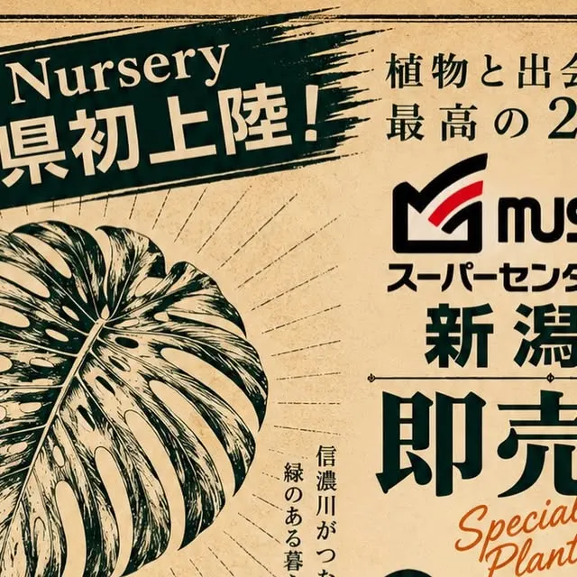Jolie Nursery インドアプランツ即売会