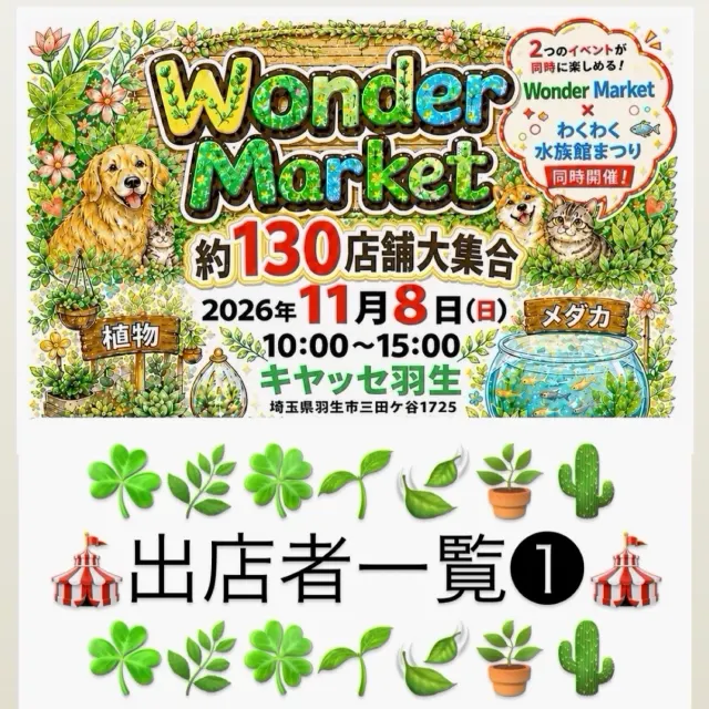 Wonder Market