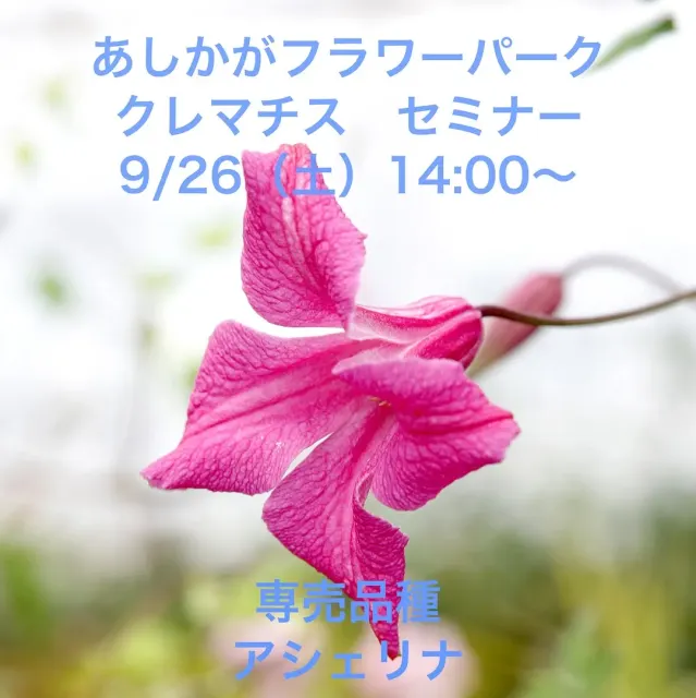 あしかがフラワーパーク クレマチス セミナー