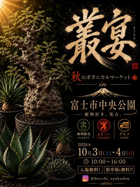 叢宴