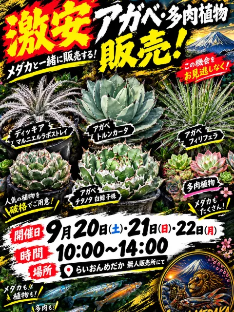 激安大放出祭